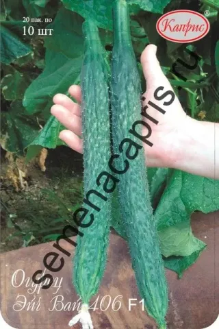 Cucumber seeds HAY 406 F1 on a packet labeled 10 pcs.