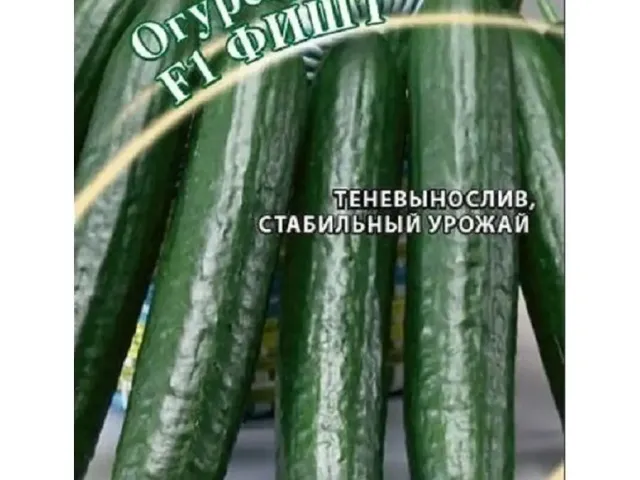 Фишт