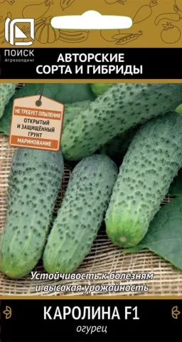 Seed packet of cucumber variety Carolina F1
