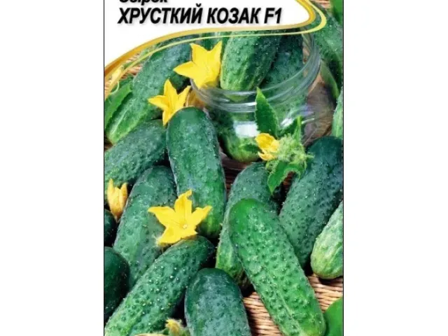 Хрусткий Козак