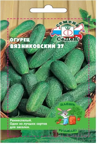 Пакет семян огурца Вязиновский 37 - МАЯЧОК