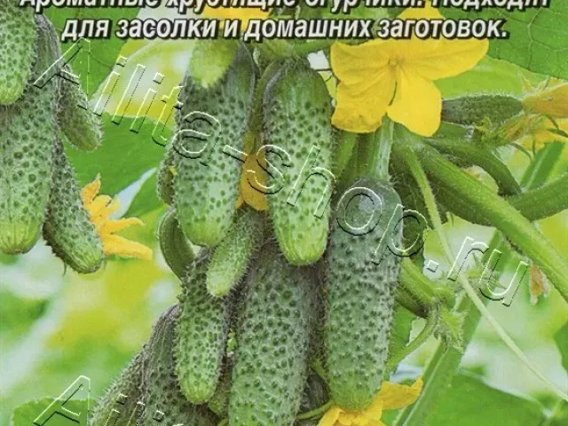 Малятко