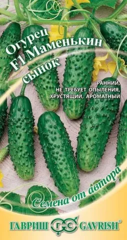 Seed packet of cucumber variety G1 Mamenkyn Synok - MAMENKIN SONOK