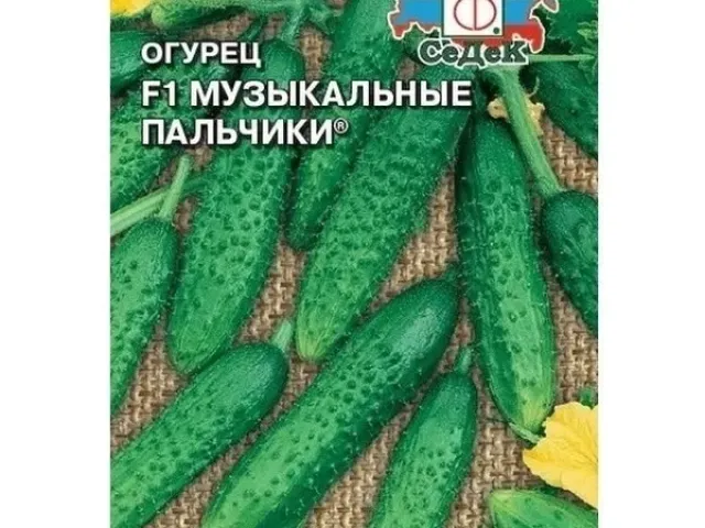 Музыкальные Пальчики