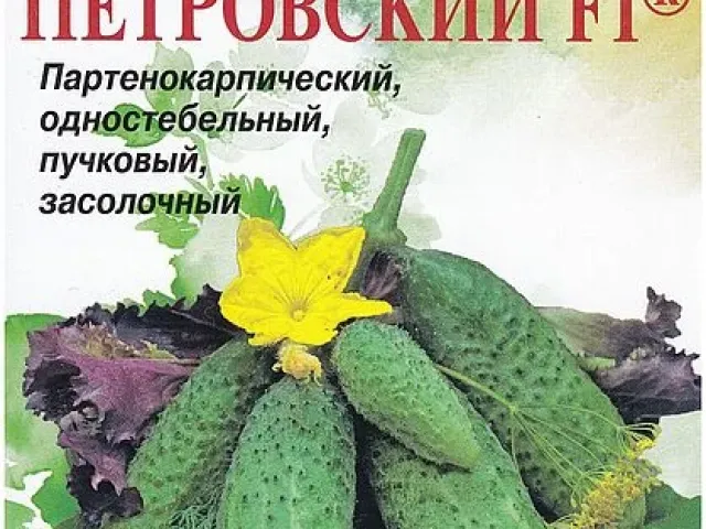 Petrovsky