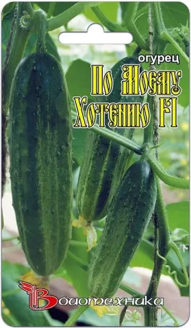 Cucumber seeds variety By My Desire F1 on green background