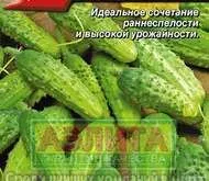 Семена огурца АЗИЛТА на фоне зеленых плодов - ПОКЛОННИК