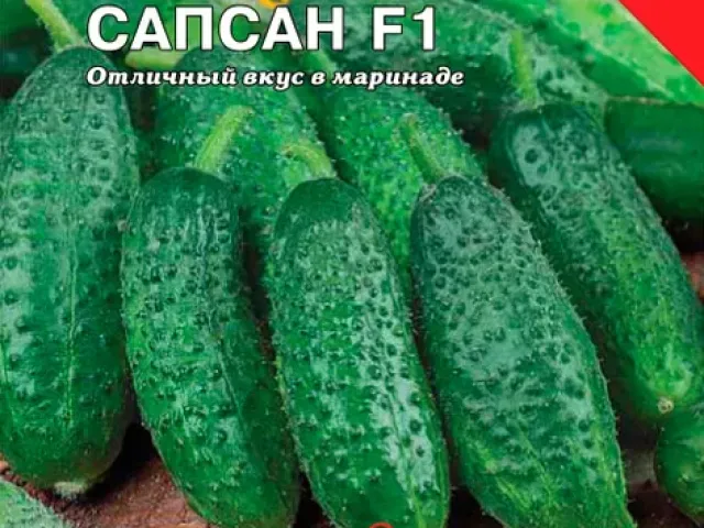 Сапсан