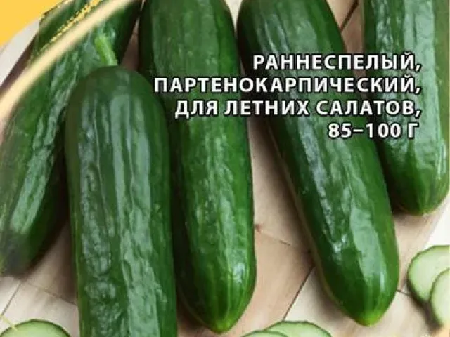 Синдбад