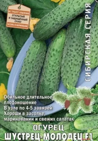 Семена огурца Шустрец-Молодец на упаковке с изображением плодов