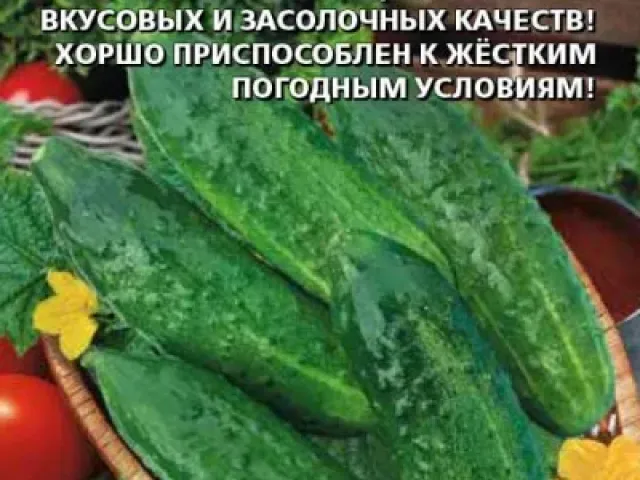Таник