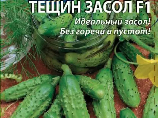 Тёщин Засол