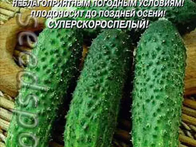 Вятский