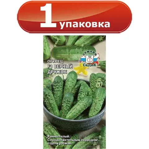 Seed packet of cucumber «VERNYY DRYUZOK»