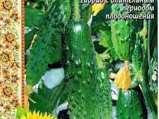 Времена Года