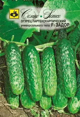 Seed packet of cucumber variety ZADOR