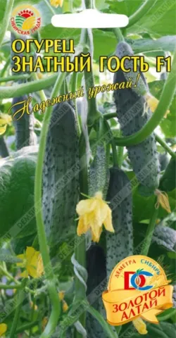 Seed packet of cucumber Znatnyi Gost' F1 with cucumbers and flowers in background