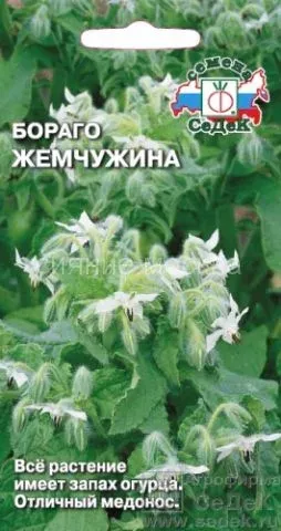 Пакет семян Жемчужина для огуречной травы