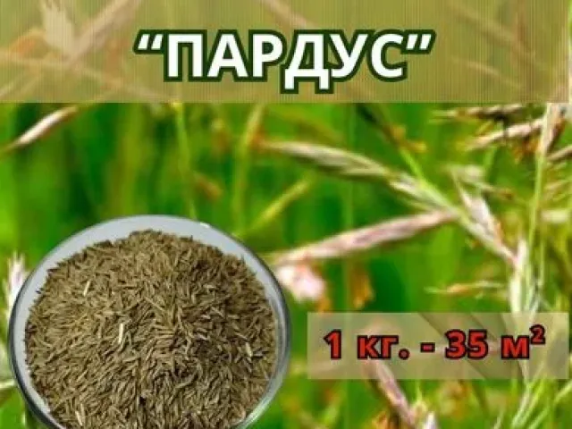 PARDUS