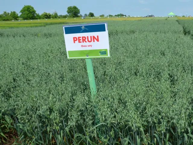 Перун