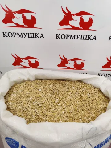 Мішок з вівсом сорту Підгорний