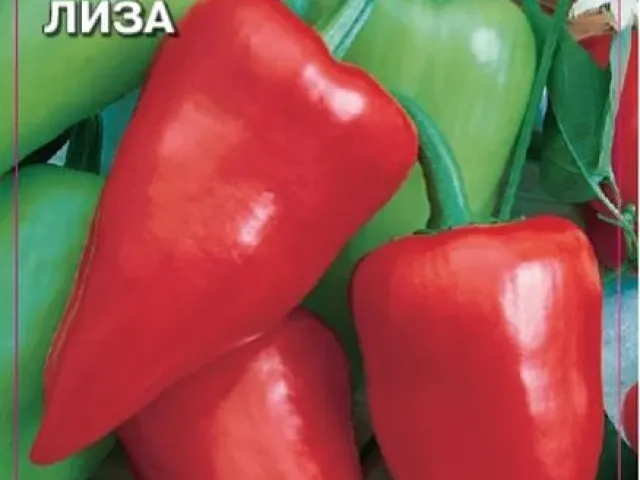 Елізабет