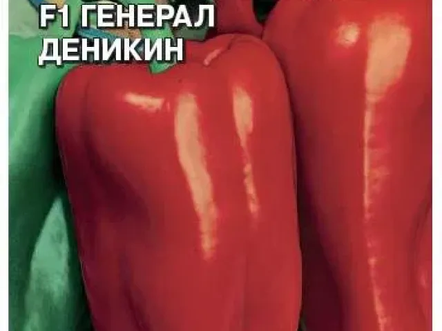 Генерал Деникин