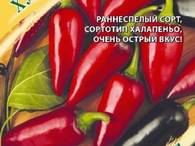 Хулиган Пурпурный