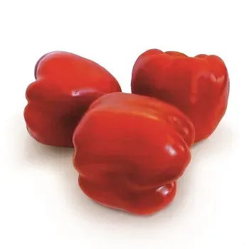 Three red Cayenne peppers on white background