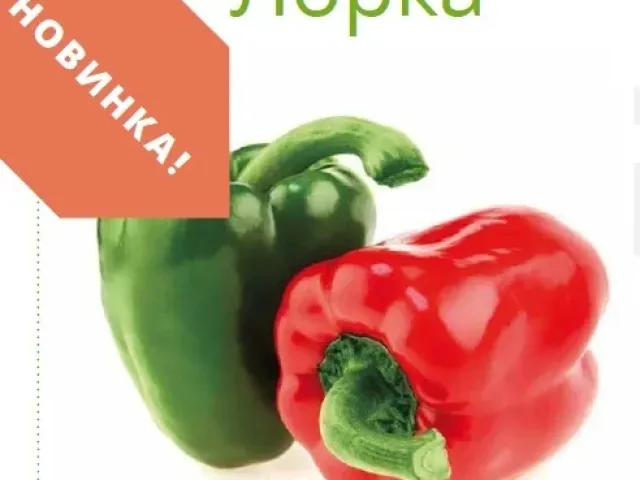 Лорка