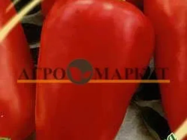 Метеор
