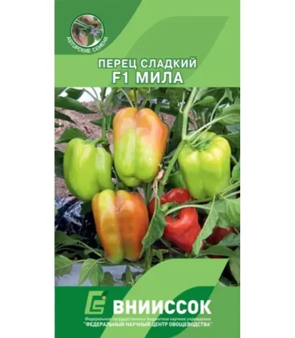 Пакет насіння перець солодкий F1 Міла