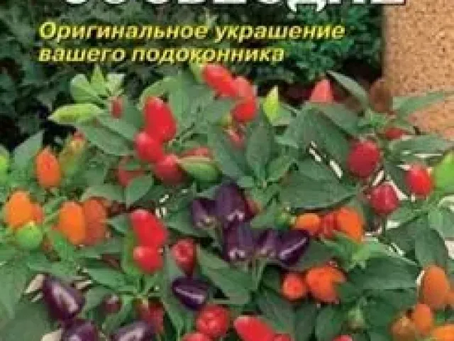 Созвездие