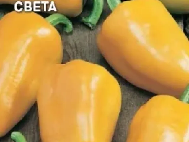 Світа