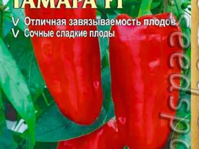 Тамара