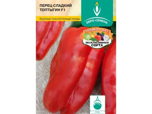 Топтыгин