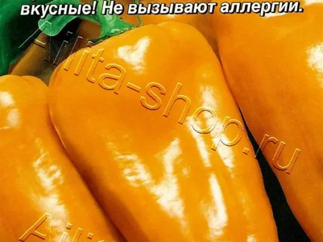 Вундеркінд