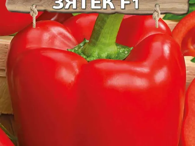 Зятек