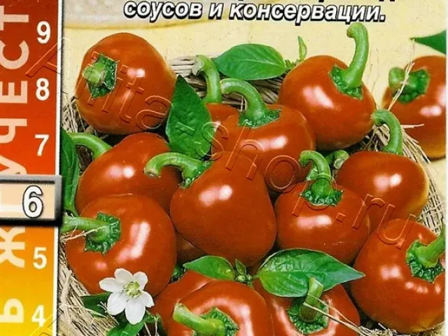 Жгучее Сердце
