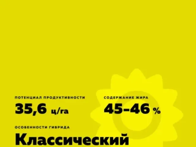 325 ДМР НС