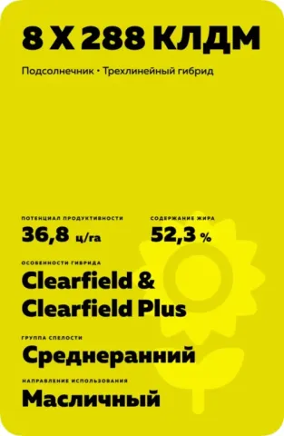 Информационная карточка гибрида подсолнечника 8 Х 288 КЛДМ