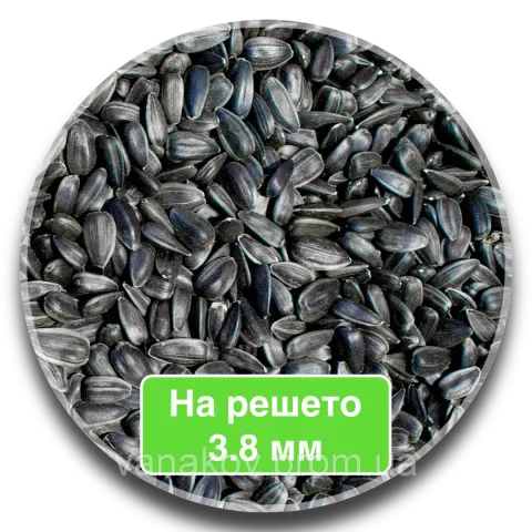 Солнечные семена на решетке 3.8 мм - 8Н288CPDM / 8Х288КПДМ