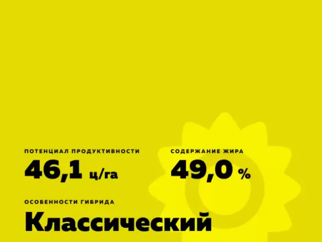 Боярин