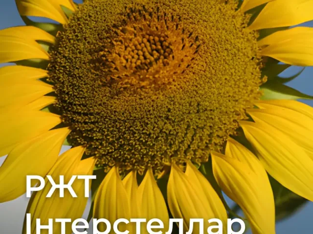 Интерстеллар