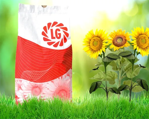 Packaging of LG 5434M sunflower seeds and sunflower flowers