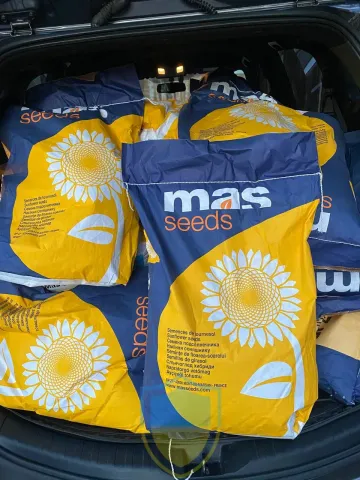 MAS 92OL sunflower seeds bags by Mas Seeds in a car trunk