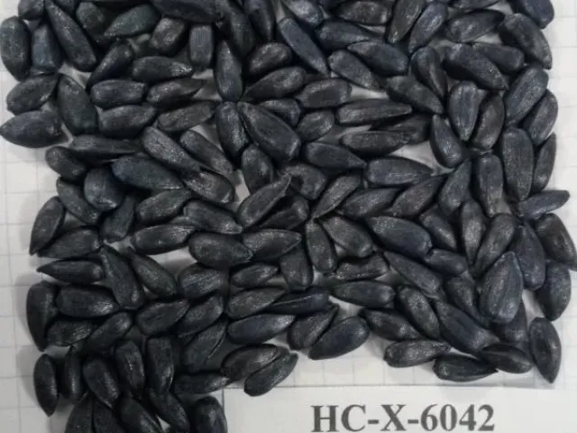 NS-H-6042
