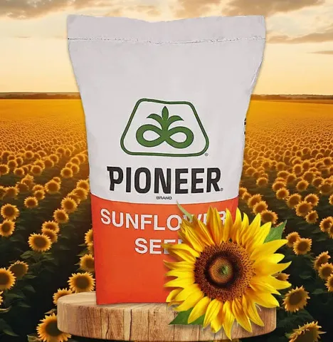 Pioneer sunflower seed bag on a field background - P64LL264