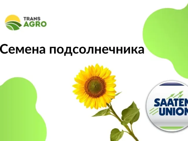 Зубелла КЛ