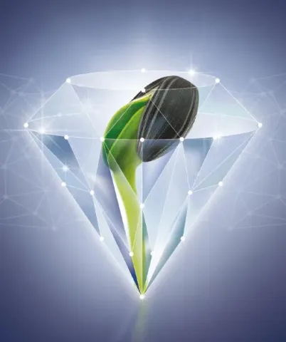Sprouted sunflower seed «TFS 2902 B» inside a stylized crystal